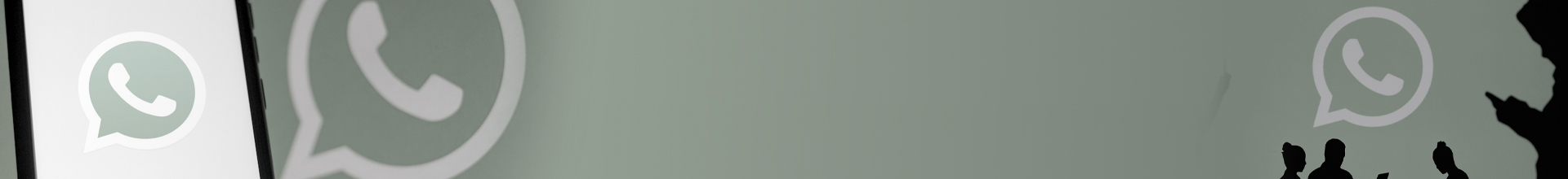 Description of the image